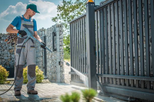 Best Patio and Deck Pressure Washing  in Taylor Creek, FL