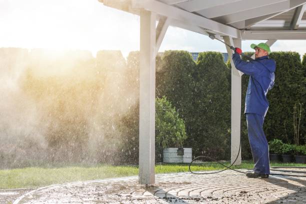 Best Fence Cleaning  in Taylor Creek, FL