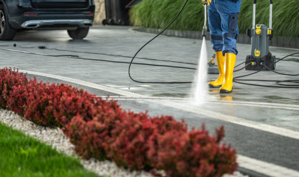 Best Patio and Deck Pressure Washing  in Taylor Creek, FL