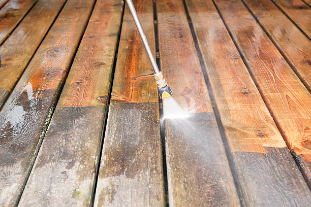 Best Pool Deck Cleaning  in Taylor Creek, FL